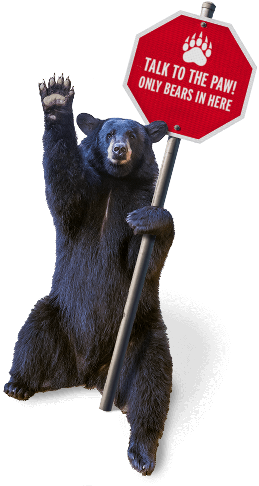 403-not-authorized-external-affairs-baylor-university